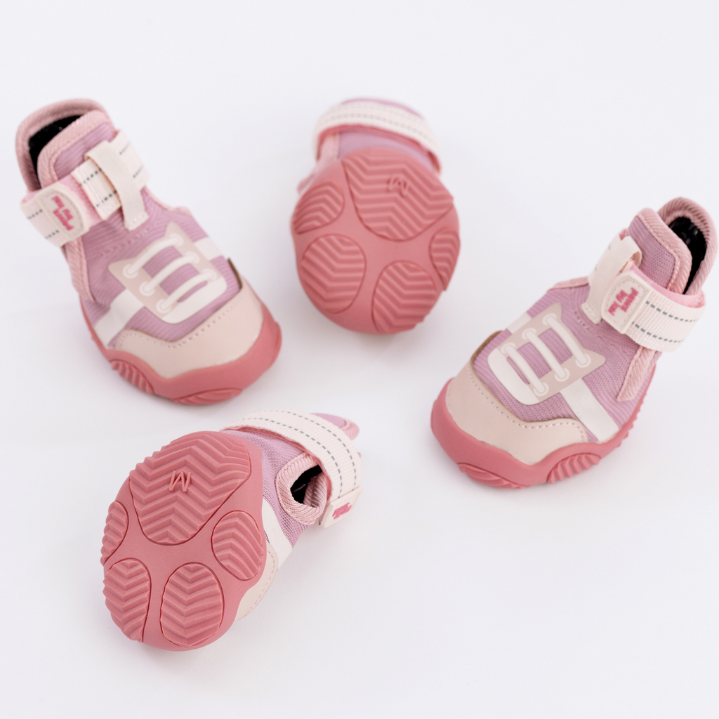 The Kai- Dog Shoes