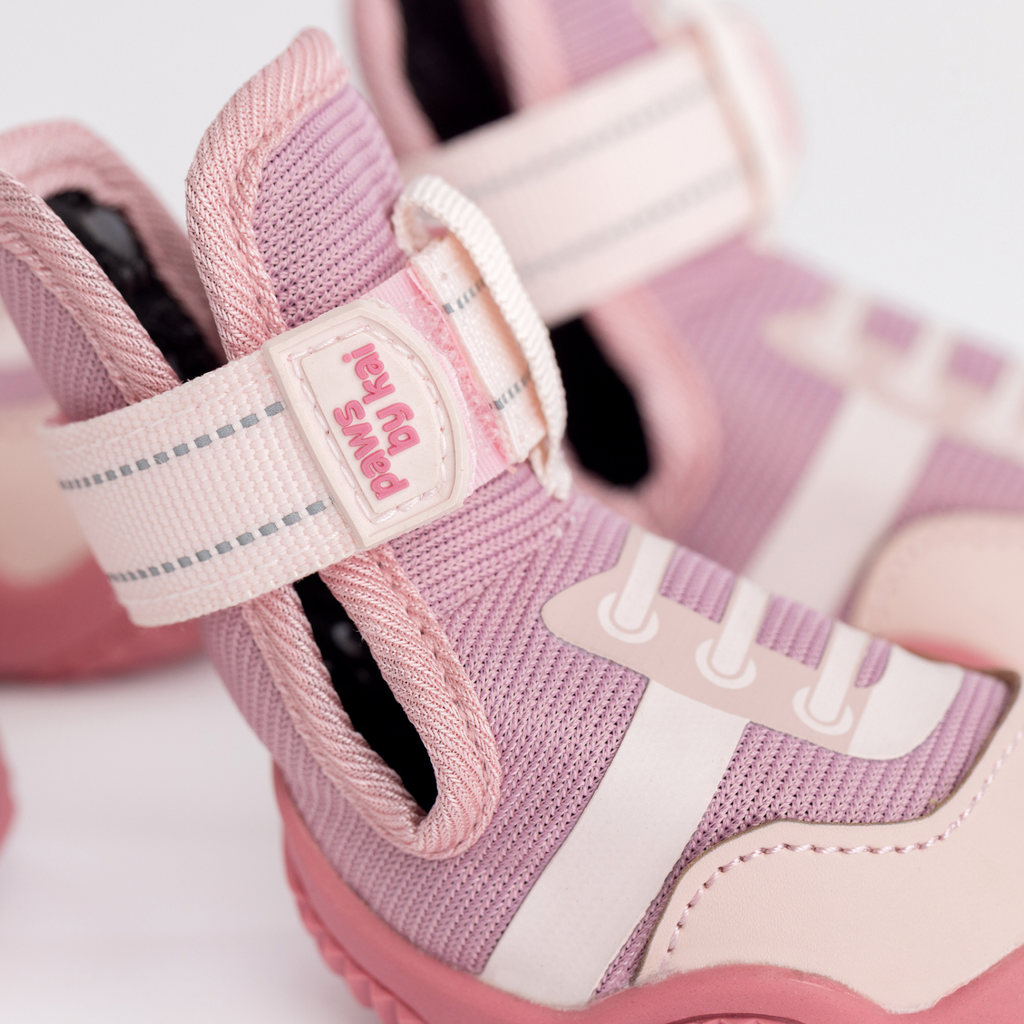 The Kai- Dog Shoes