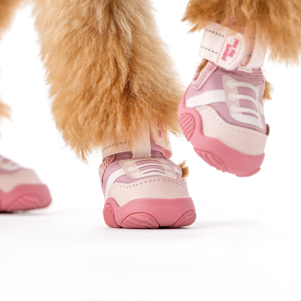 The Kai- Dog Shoes