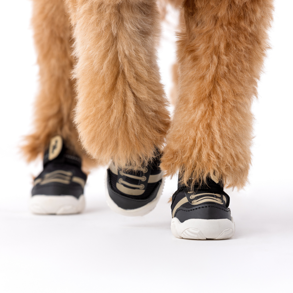 The Kai- Dog Shoes