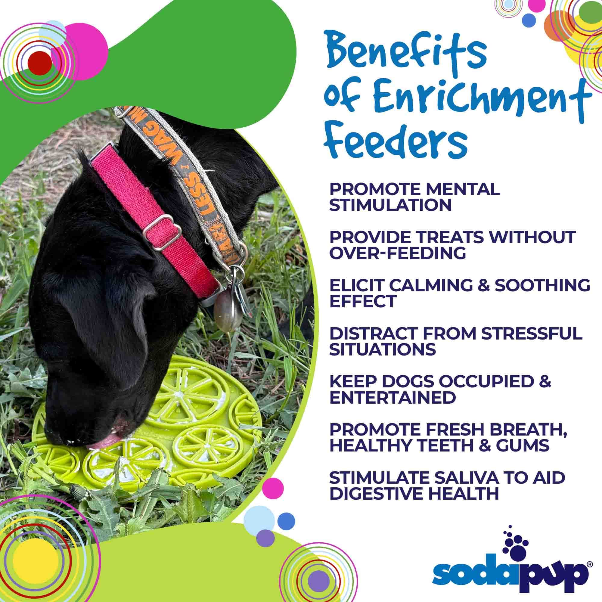 Citrus Design eMat - Enrichment Lick Mat For Dogs and Cats - with Suction Cups | USA Made
