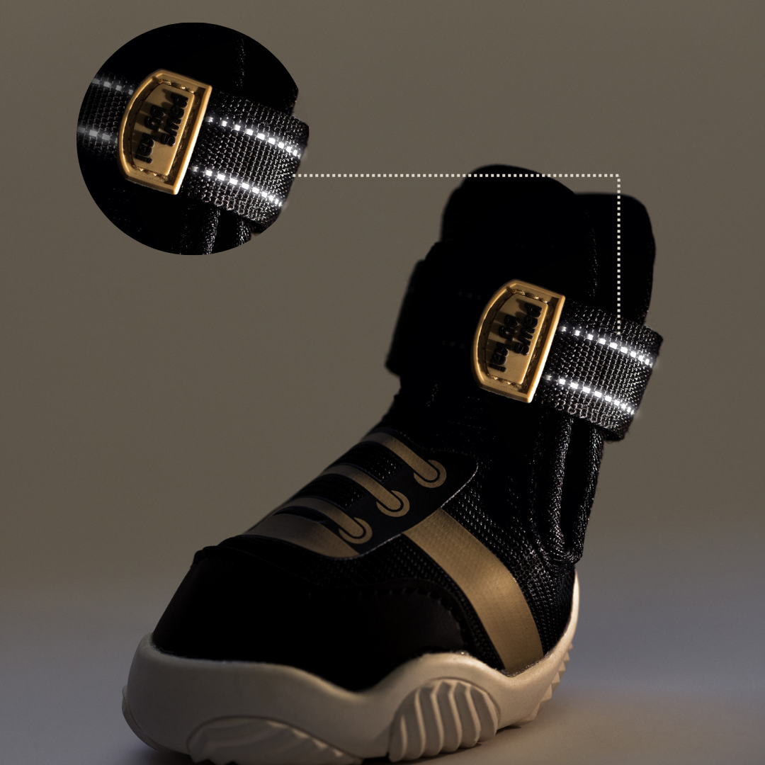 The Kai- Dog Shoes
