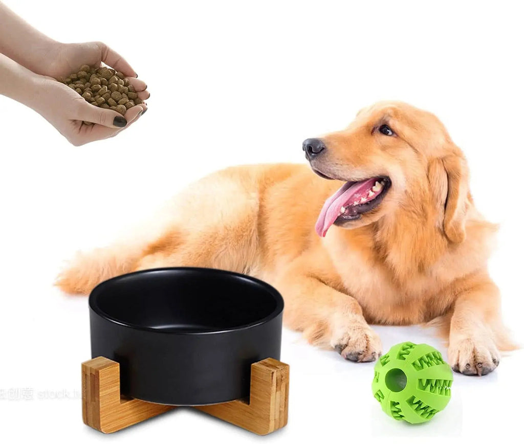Ceramic Cat & Small Dog Bowl Set with Stand 13.5oz Non Slip Double
