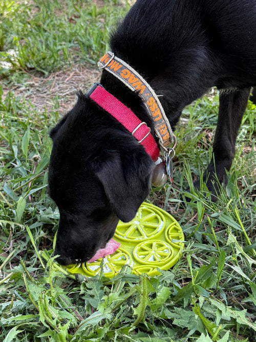 Citrus Design eMat - Enrichment Lick Mat For Dogs and Cats - with Suction Cups | USA Made