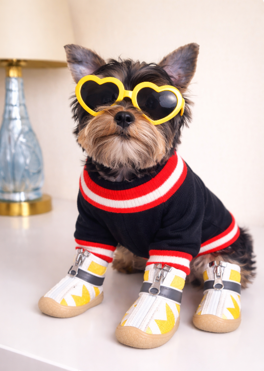 Heart-Framed Sunglasses for Dogs